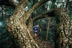 BIB: 
                            <button type="button" onclick="openModal(25393316)" class="btn btn-primary btn-sm float-right btn-popup" data-toggle="modal" data-target=".modal-high-quality">
                        <i class="fas fa-shopping-cart"></i> Add to Cart
                    </button>
                                            <button type="button" onclick="isThisMe(25393316, true)" class="btn btn-success btn-sm float-right btn-popup btn-isme hidden" data-toggle="tooltip" data-placement="bottom" title="นี่คือรูปของคุณใช่ไหม คลิกที่นี่เพื่อเอาเข้าอัลบั้ม">
                        <i class="fas fa-plus"></i> Add to album
                    </button>
                    <button type="button" onclick="isThisMe(25393316, false)" class="btn btn-warning btn-sm float-right btn-popup btn-isnotme hidden">
                        <i class="fas fa-ban"></i> Remove from album
                    </button>